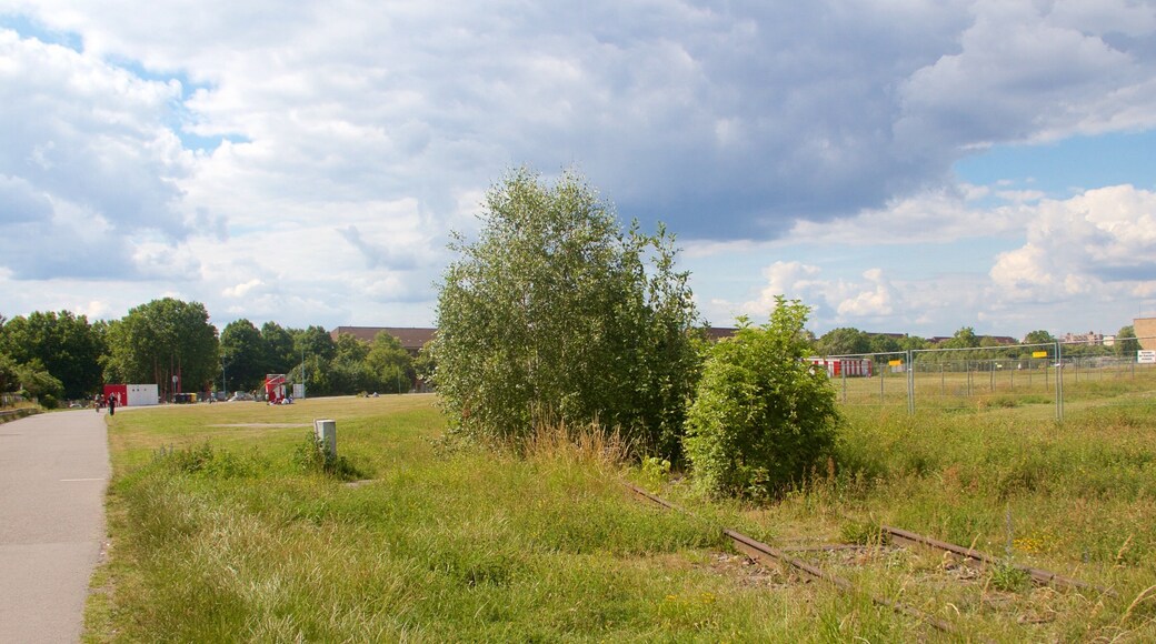 Tempelhof showing a garden