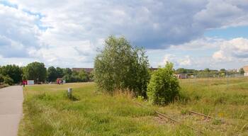 Tempelhof showing a garden