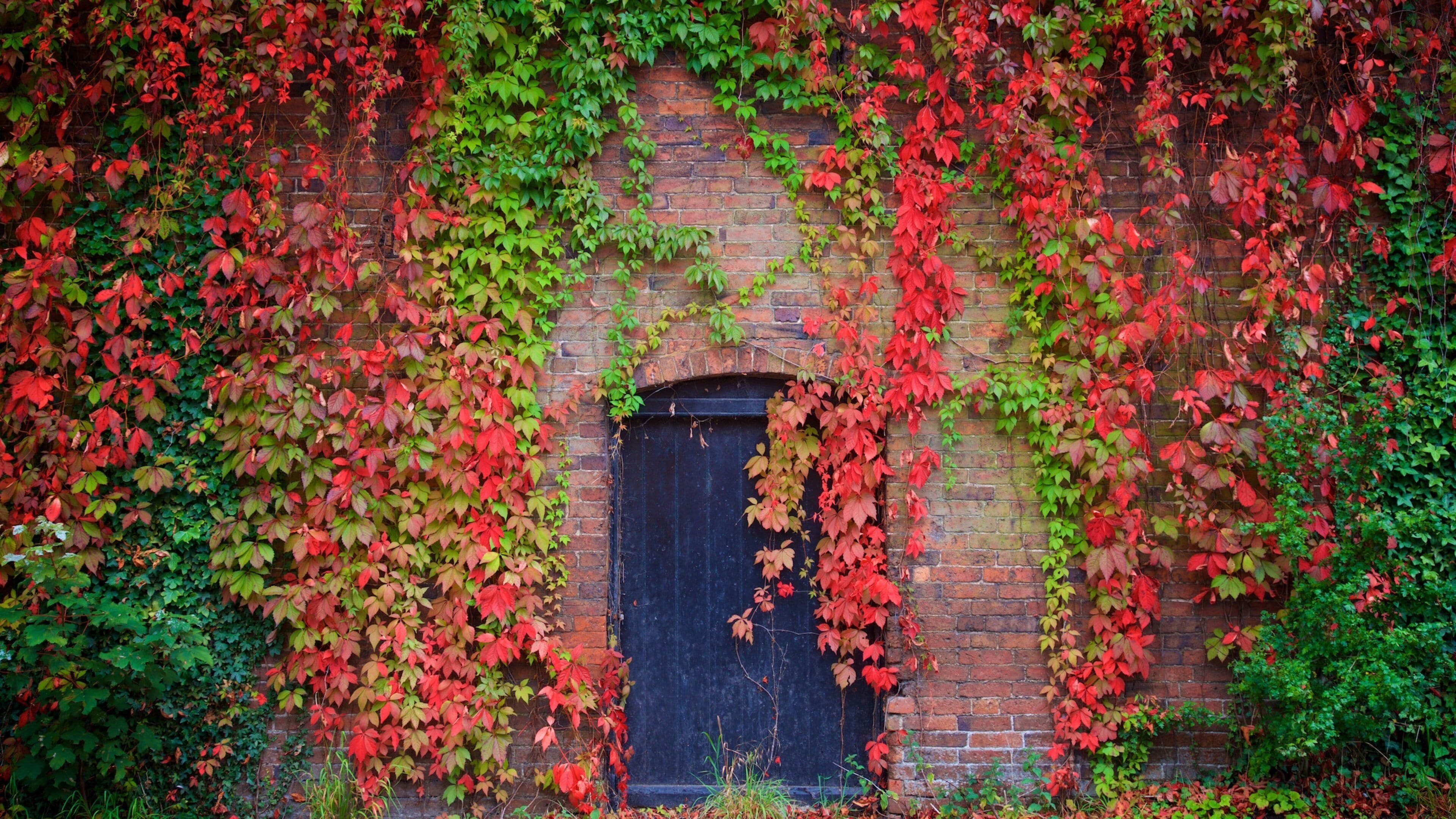 Melbourne which includes a garden