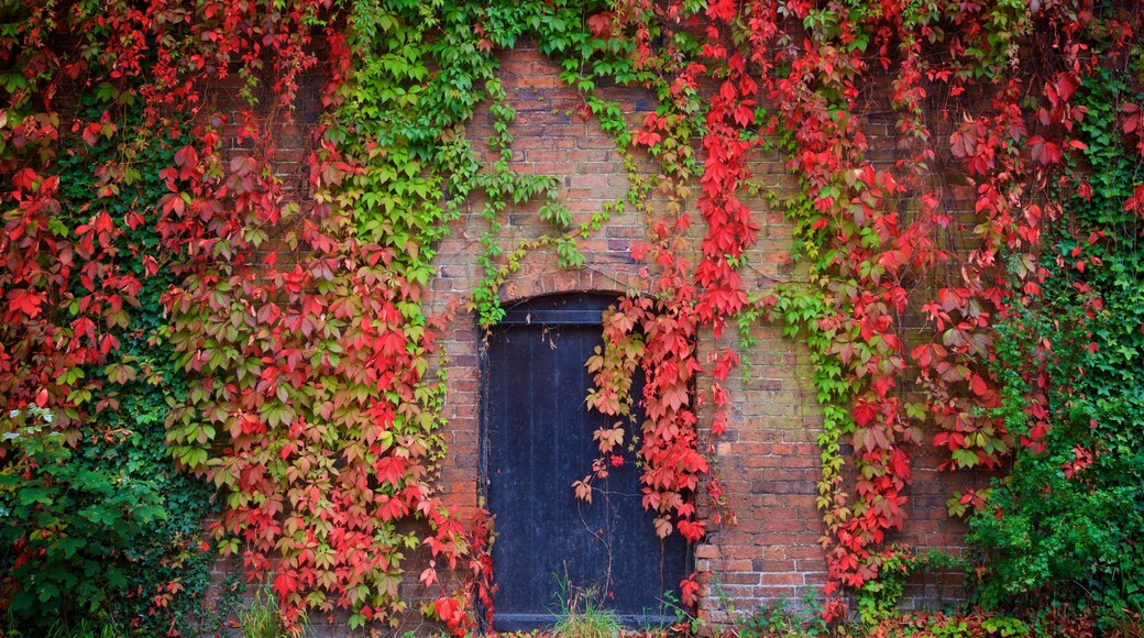 Melbourne which includes a garden