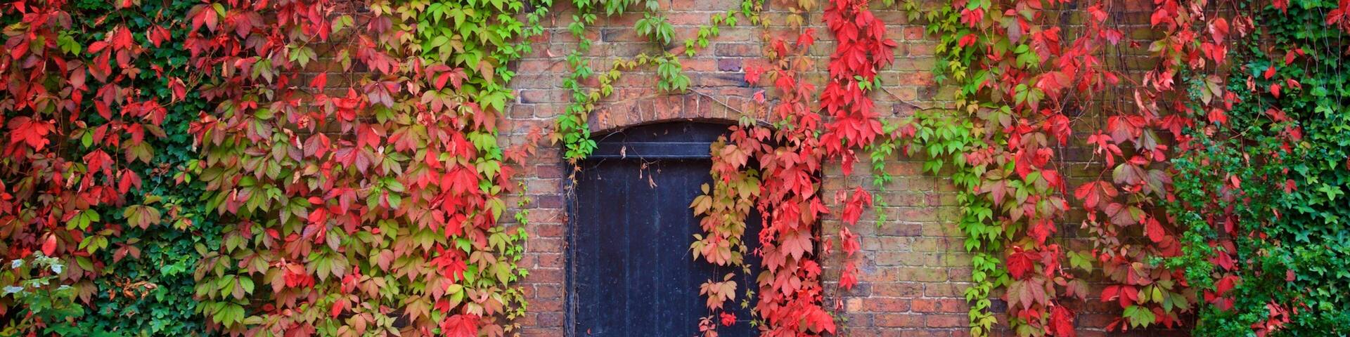 Melbourne which includes a garden