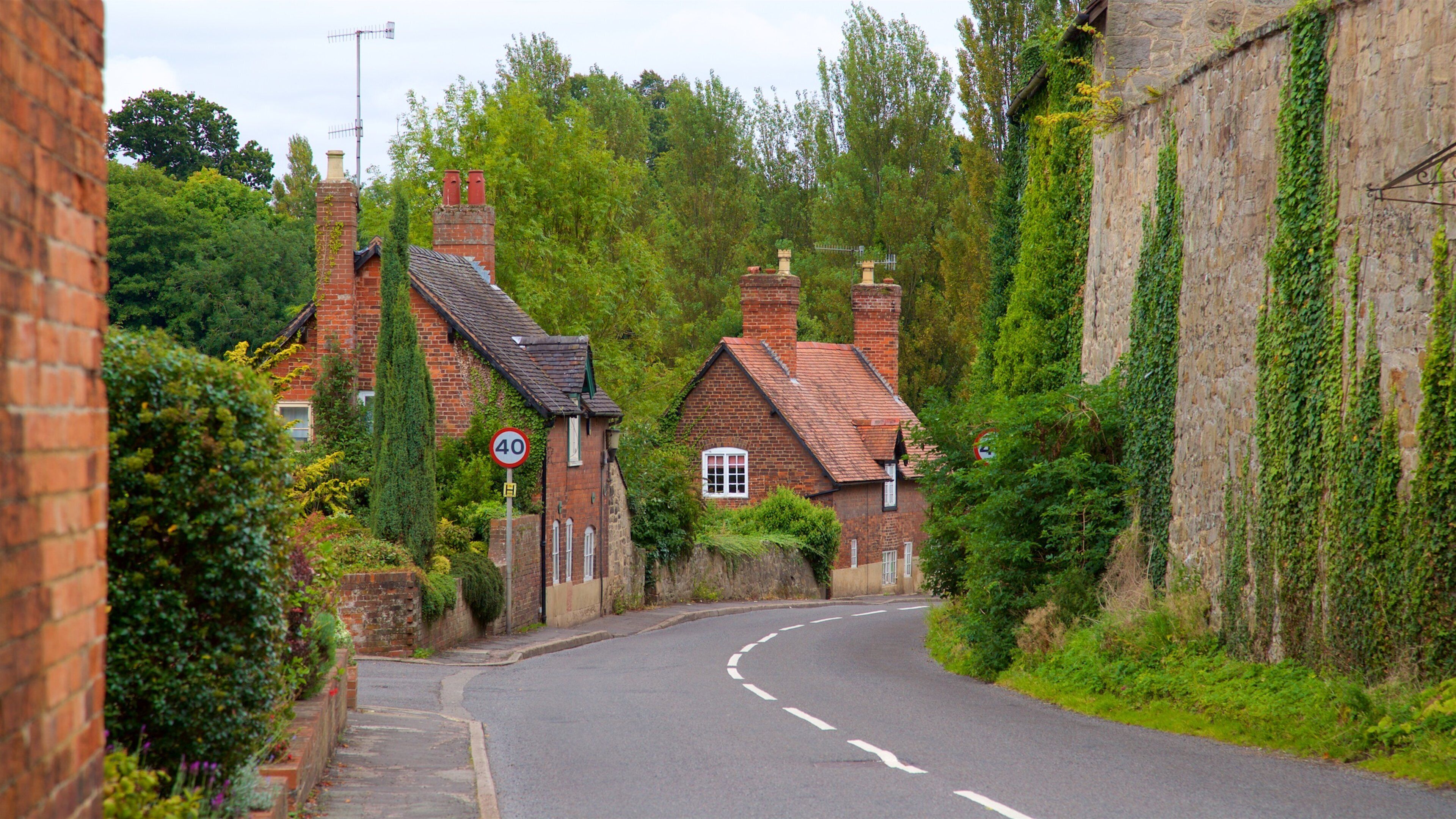 A narrow rural road flanked by traditional brick houses with red roofs, surrounded by lush greenery and trees.
