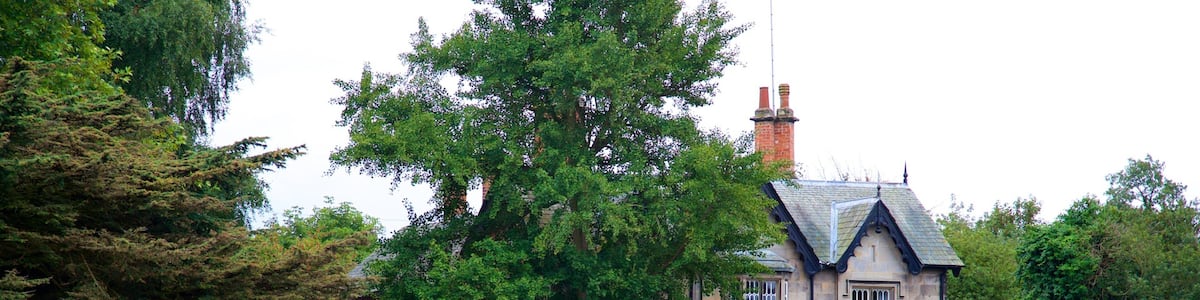 Melbourne montrant mare, jardin et petite ville ou village