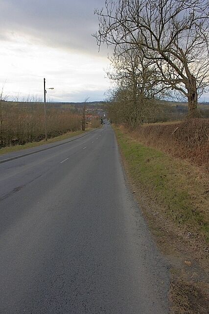 Una carretera rural con un árbol a la derecha y cielo despejado.