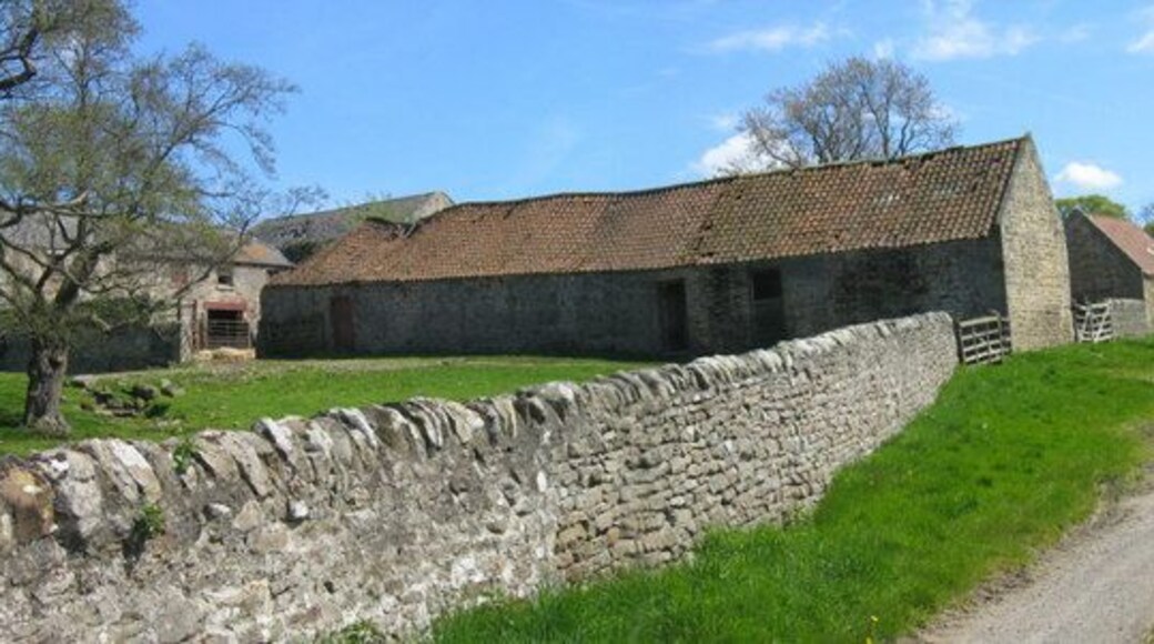 Low Harperley farm buildings