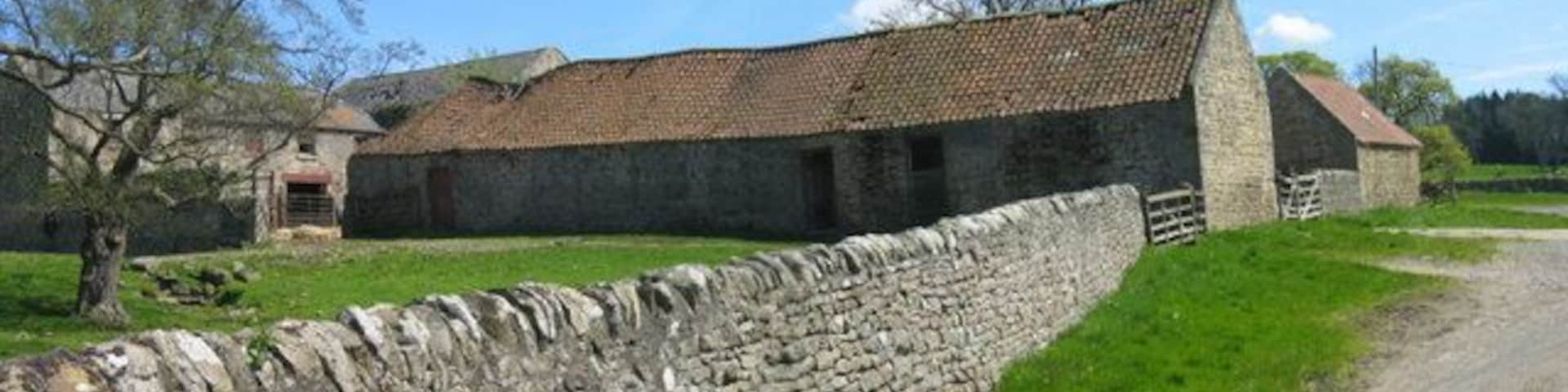 Low Harperley farm buildings