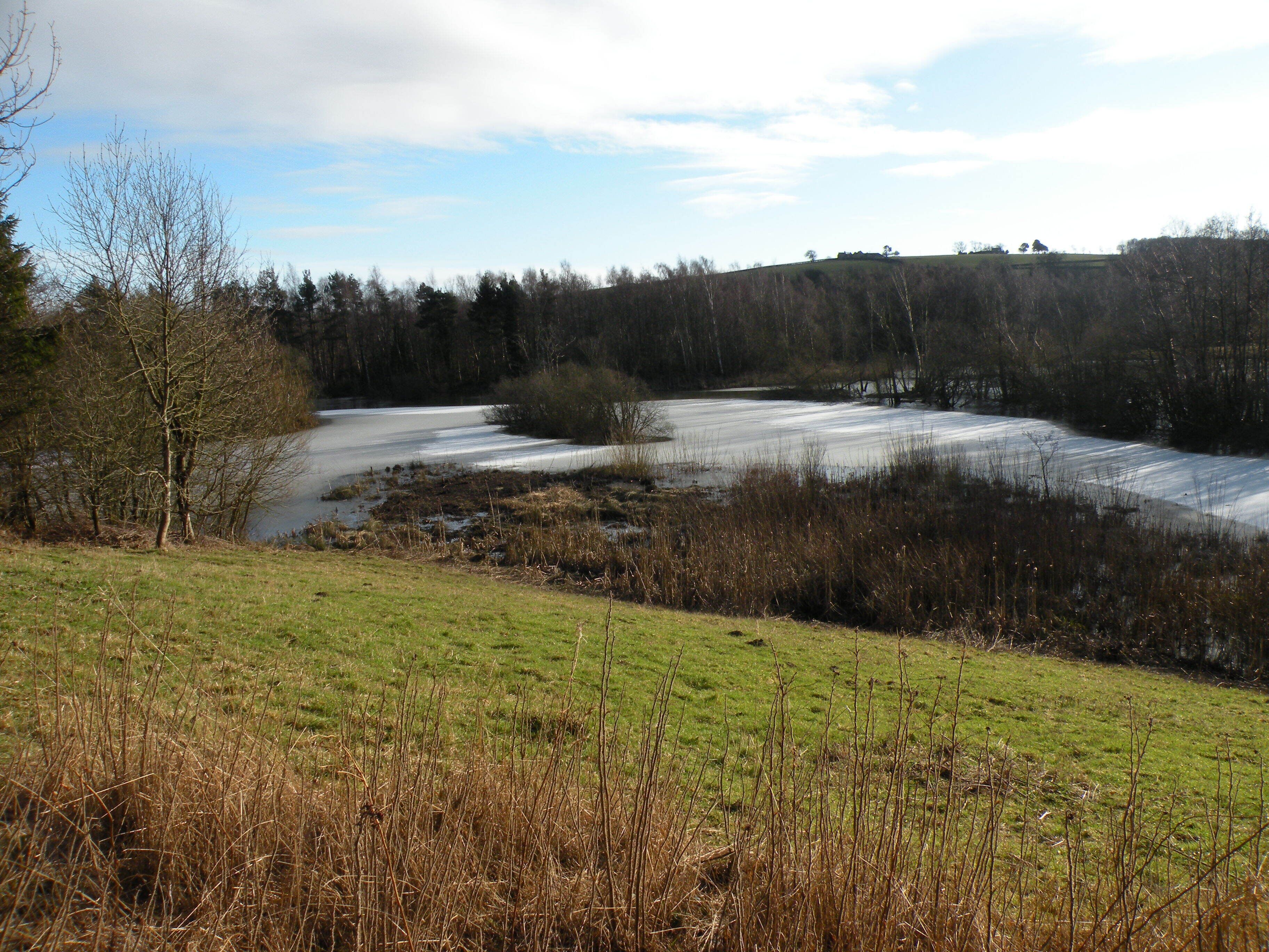 Marston Lake from the North Hide