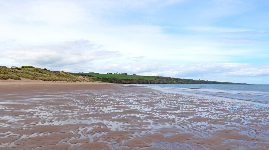 Lunan Bay, Schottland