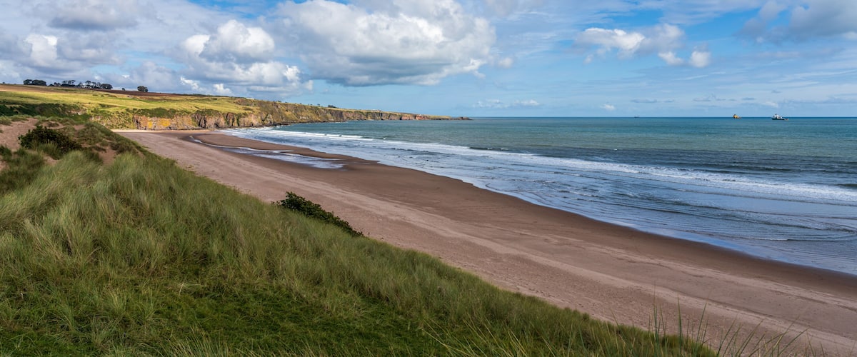 A coastal landscape with a sandy beach, grassy dunes, and a clear blue sky with scattered clouds.