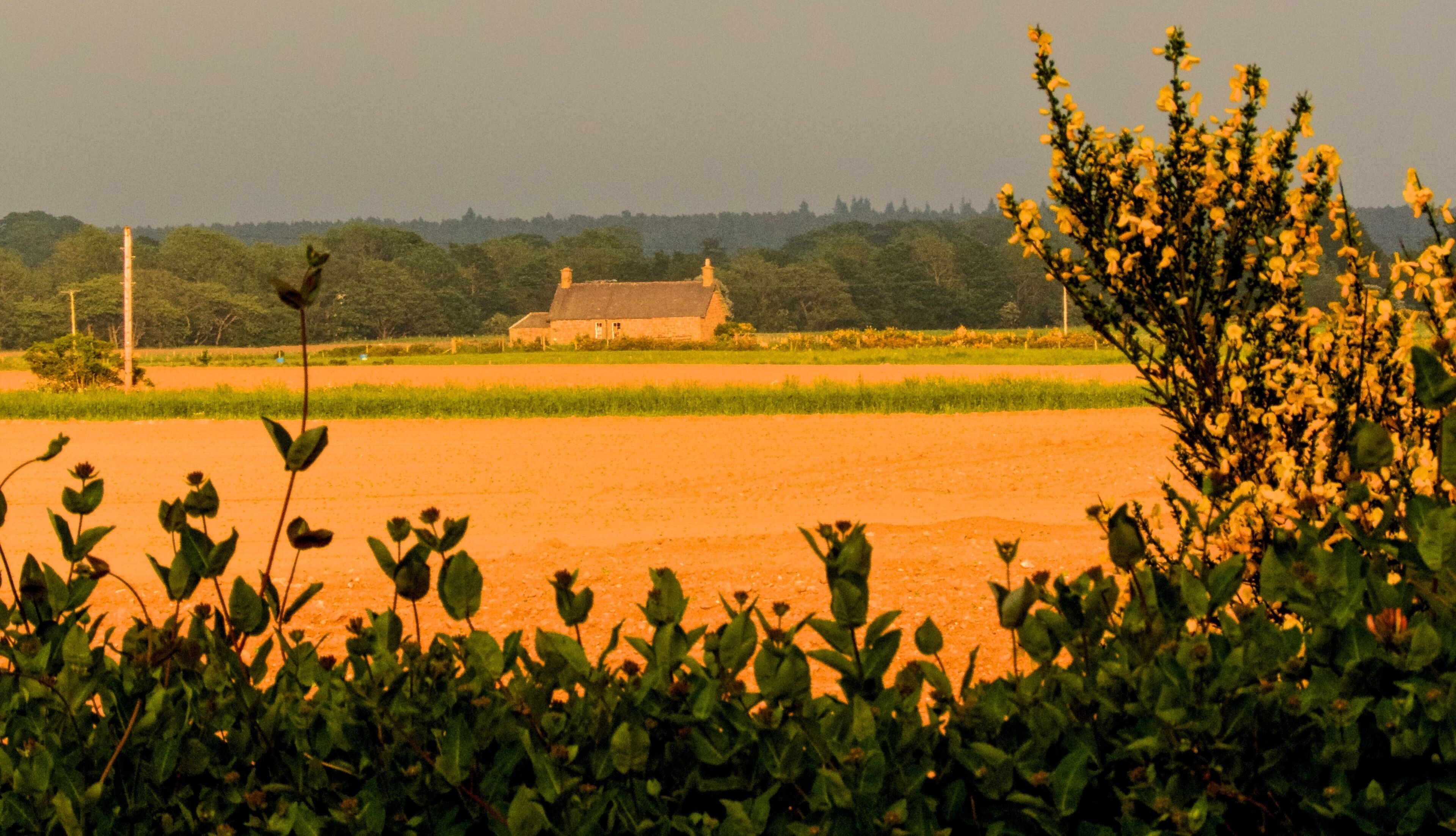 A rural landscape with a house, fields, and vegetation.