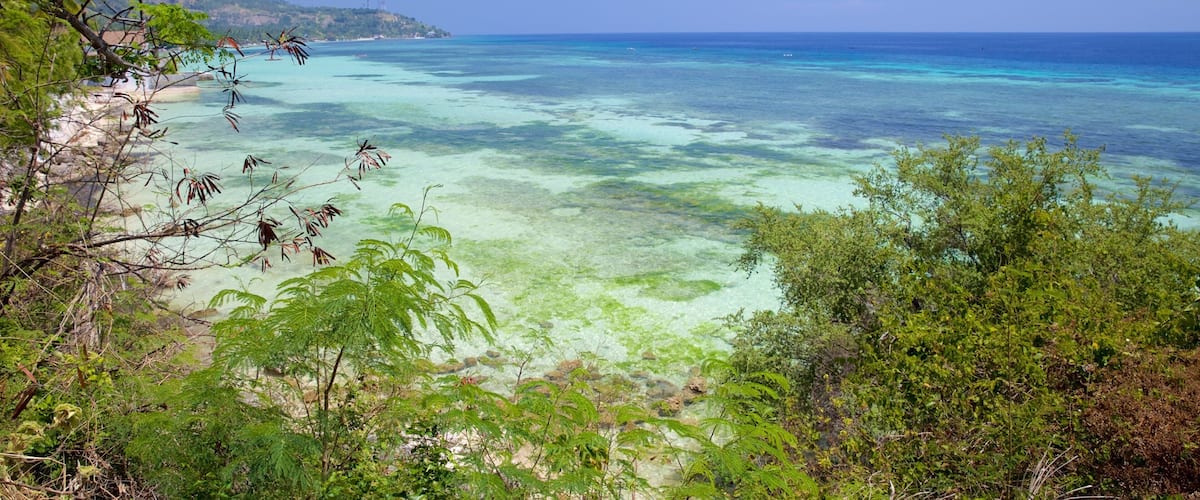 Oslob Beach which includes general coastal views