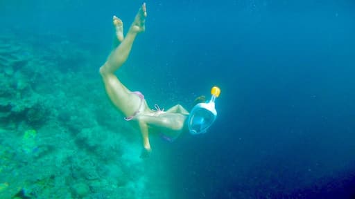 Cristal clear water, sharks, stingrays, scuba and free diving.
Maafushi is a tinny island, far from the fancy idea of the Maldives, with a very local atmosphere and beautiful spots for diving.