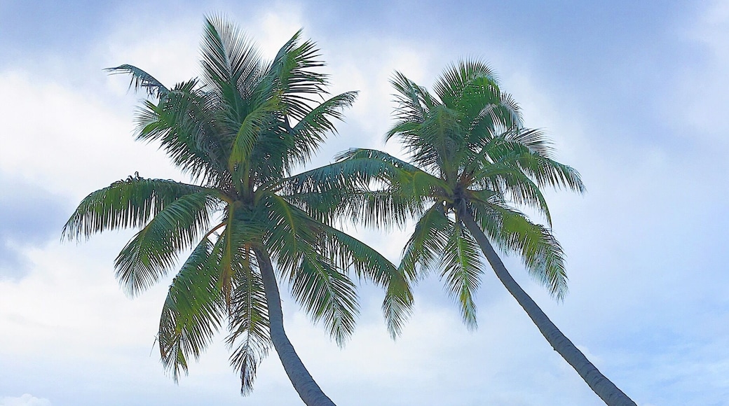 A pristine beach without the crowd is paradise.