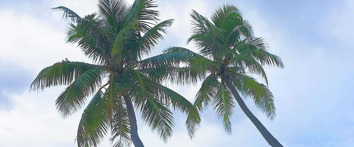 A pristine beach without the crowd is paradise.