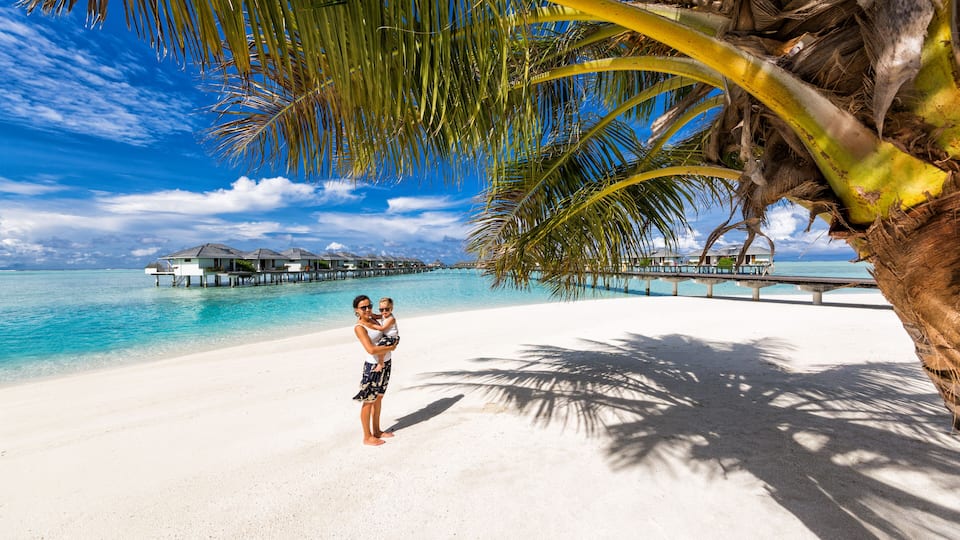 A beach with white sand, clear blue water, palm trees, and a pier in the distance.