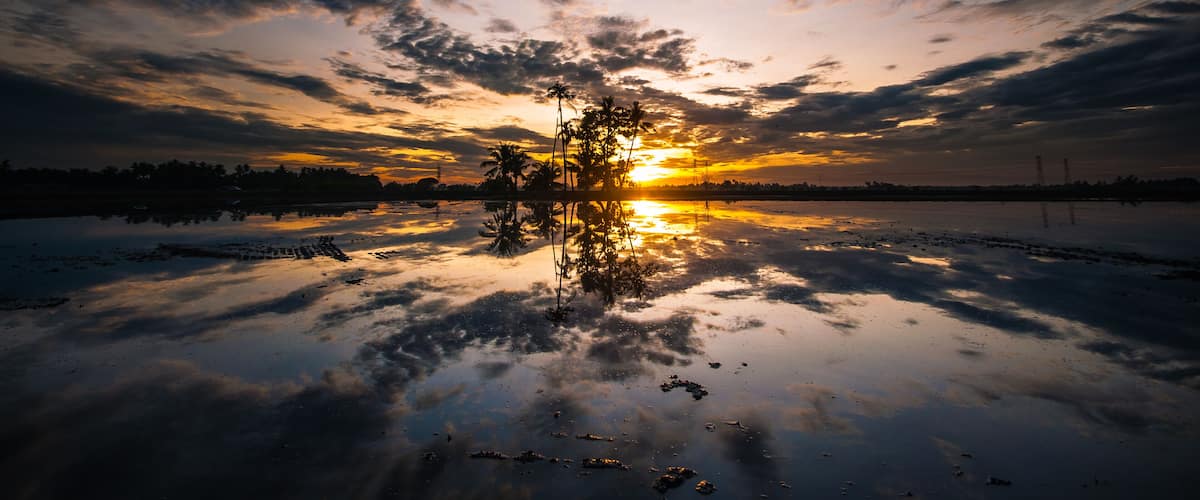 A sunset over a calm lake with reflections of palm trees and a cloudy sky.