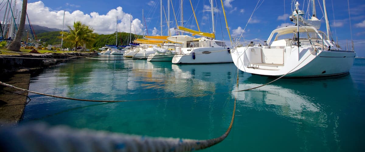 Tahiti featuring tropical scenes, sailing and a bay or harbor