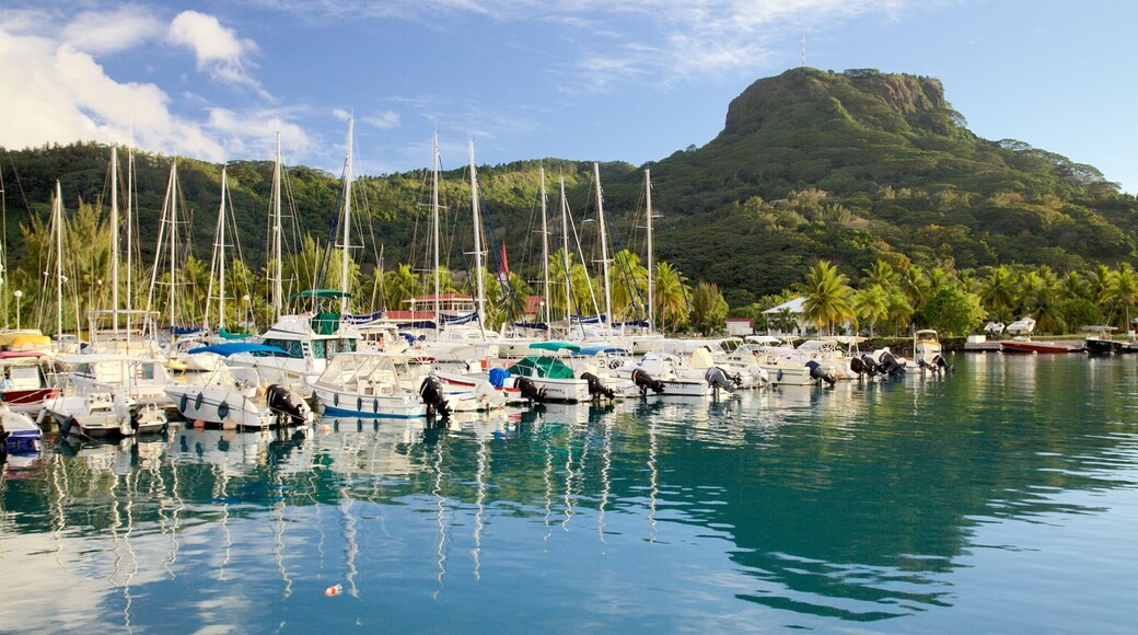 Raiatea Marina which includes boating, a bay or harbour and general coastal views