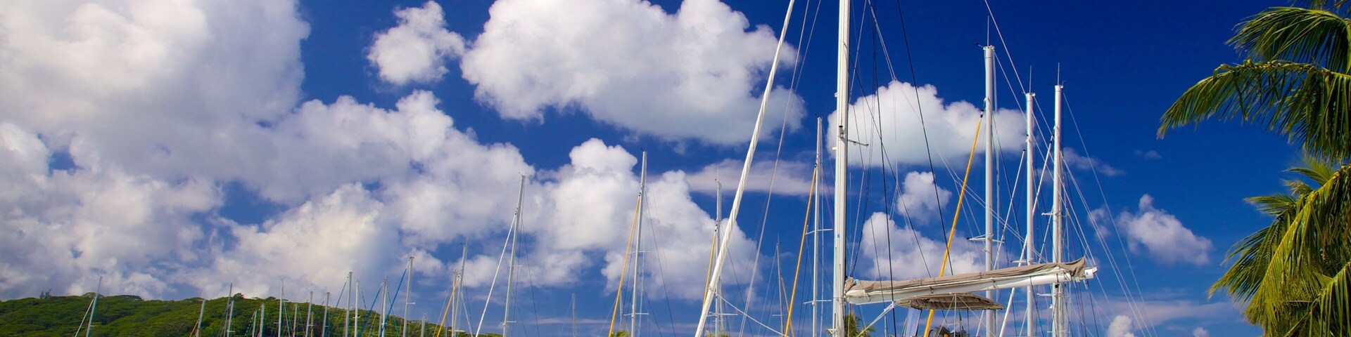 Raiatea which includes a marina