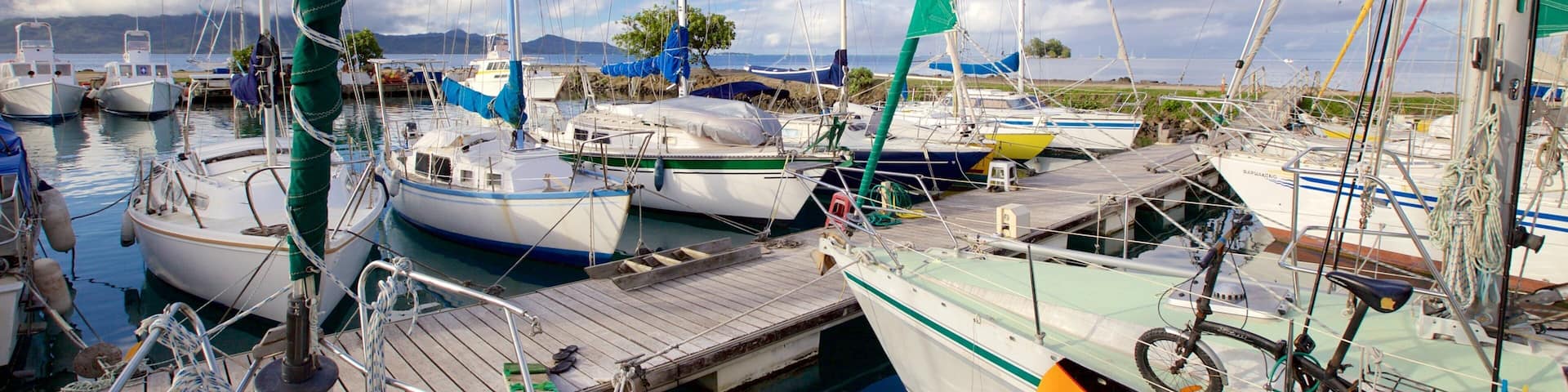 A marina with multiple sailboats docked, wooden walkways, and a mountainous landscape in the background.