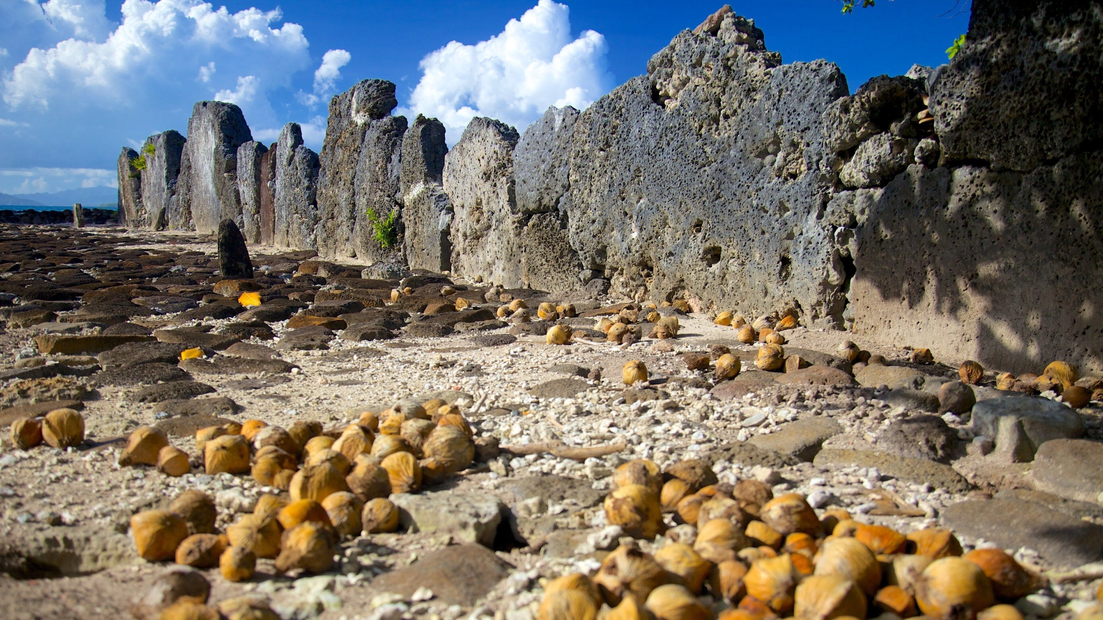 A rocky shoreline with large boulders and scattered seashells.