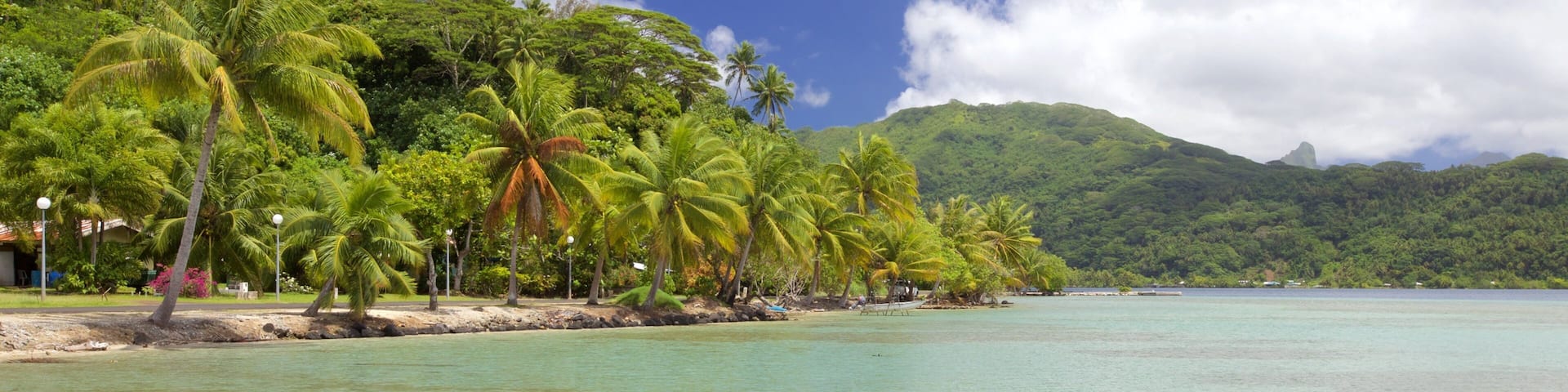 Opoa showing landscape views, tropical scenes and general coastal views