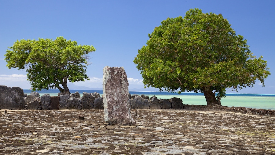 Marae Taputapuatea which includes general coastal views and tropical scenes