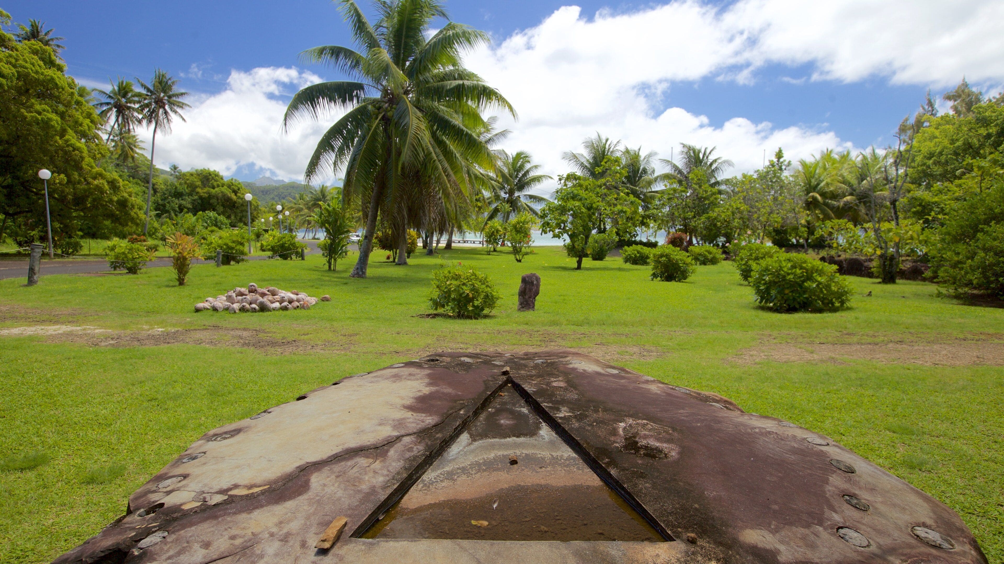 A tropical park with a large stone structure, palm trees, and a grassy area.