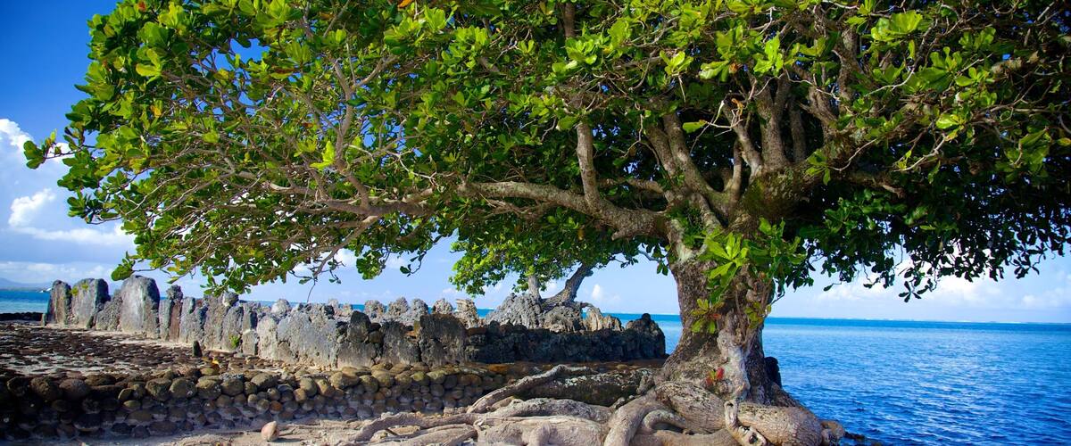 Marae Taputapuatea showing general coastal views