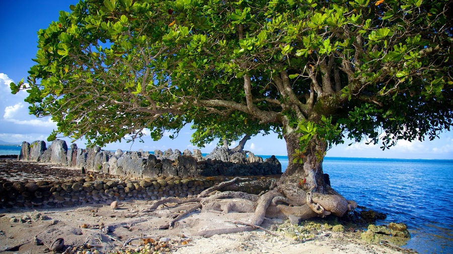 Marae Taputapuatea showing general coastal views