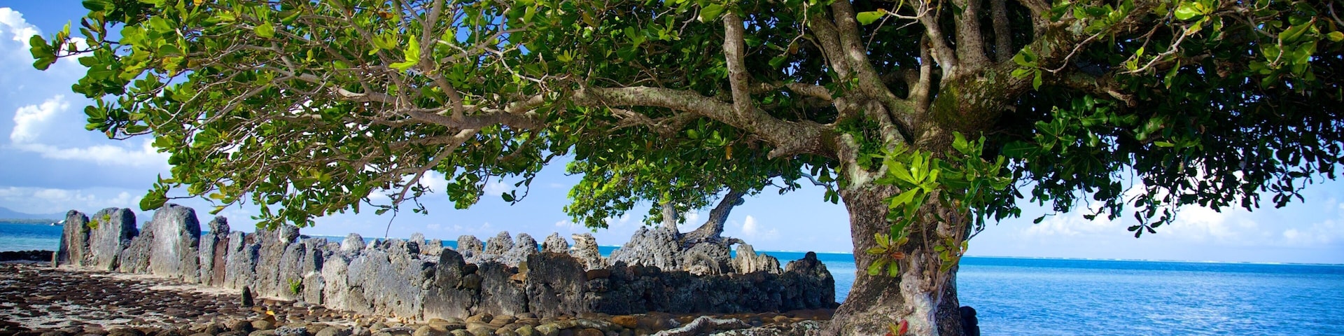 Marae Taputapuatea showing general coastal views