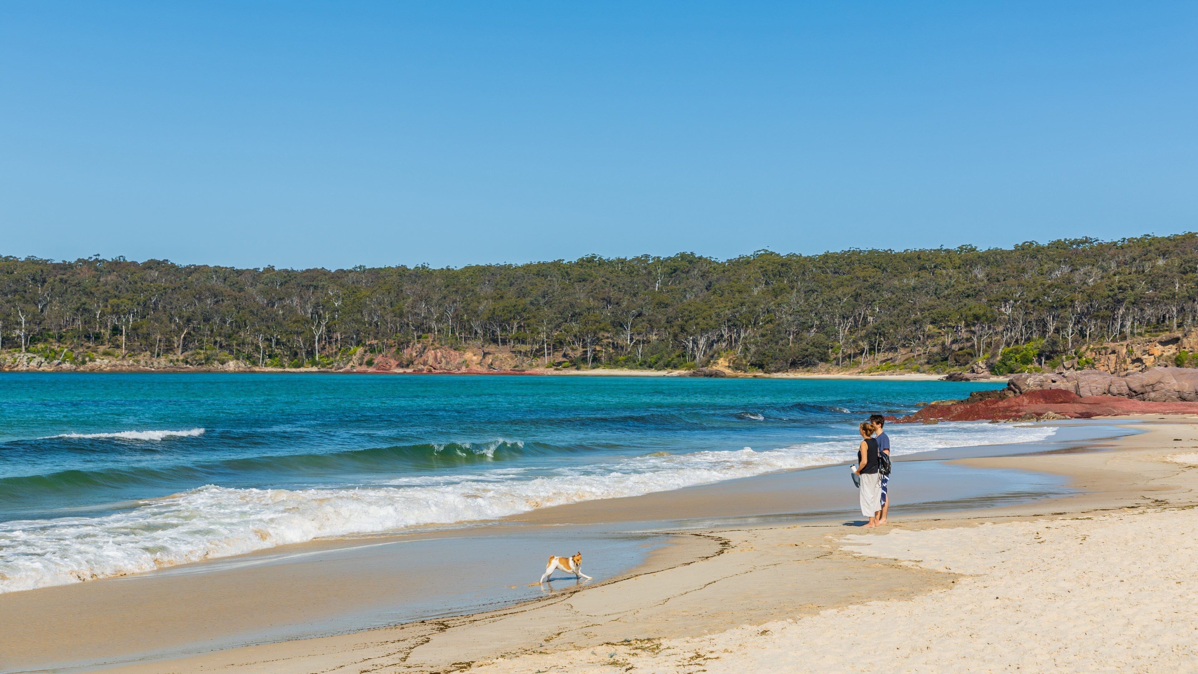 Pambula Beach featuring general coastal views and a sandy beach as well as a couple
