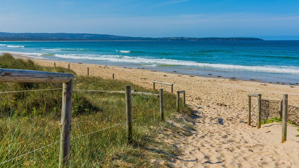 A sandy beach with a wooden fence and grassy vegetation.