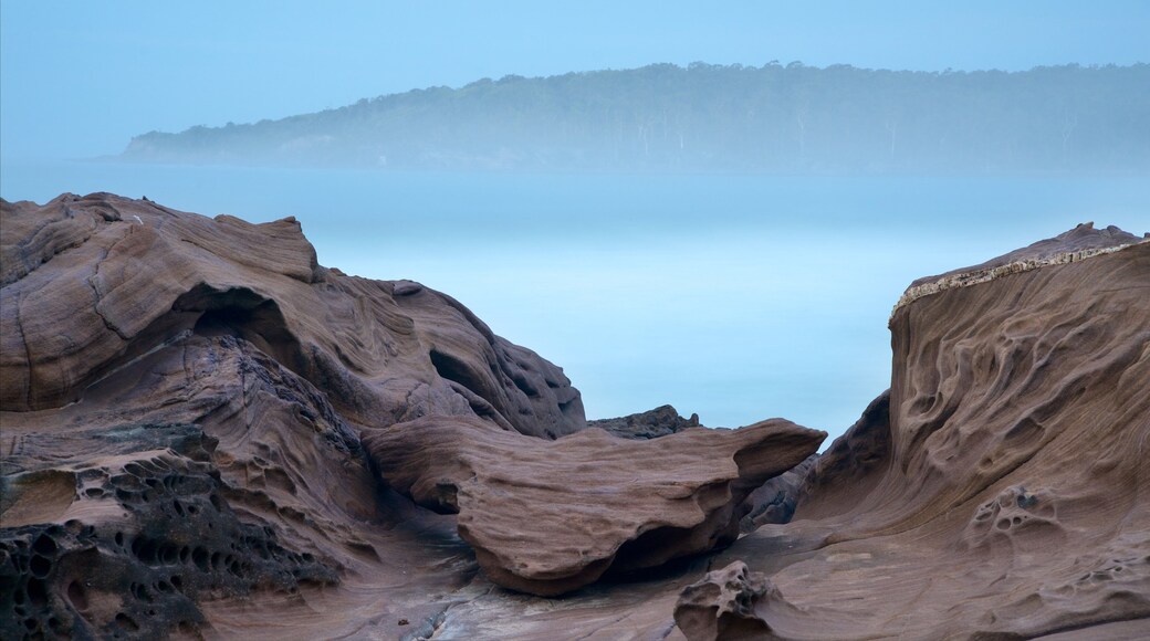 Pambula Beach which includes mist or fog and rugged coastline