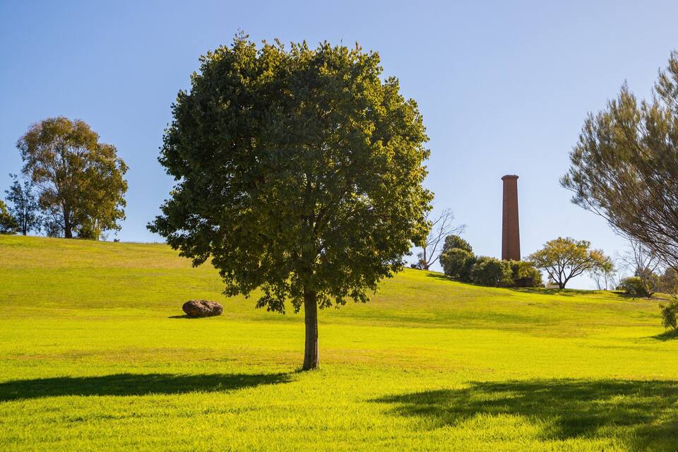 A grassy hill with a prominent tree, a tall brick chimney, and a clear blue sky.