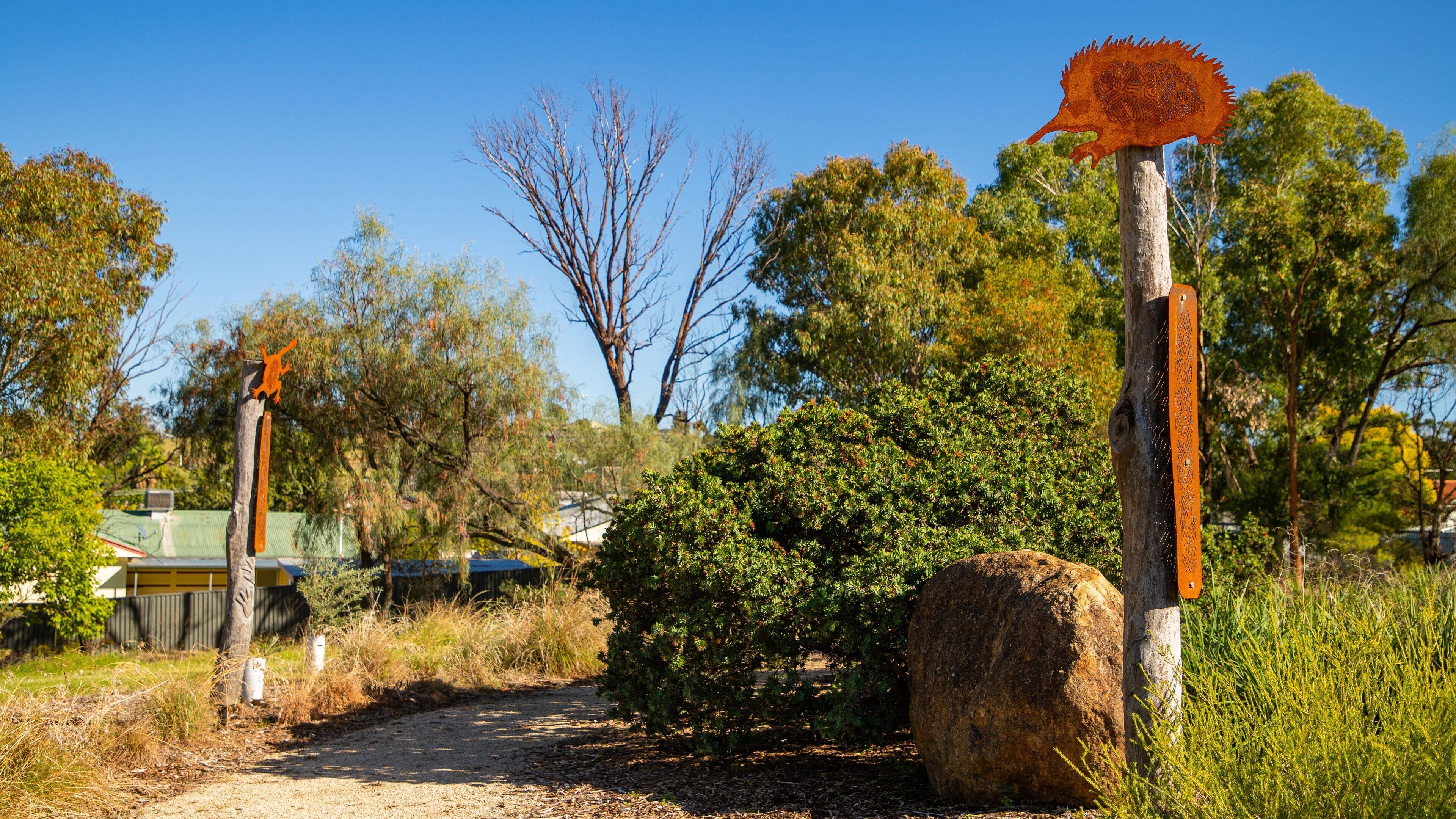 Bushmans Hill Reserve showing a garden