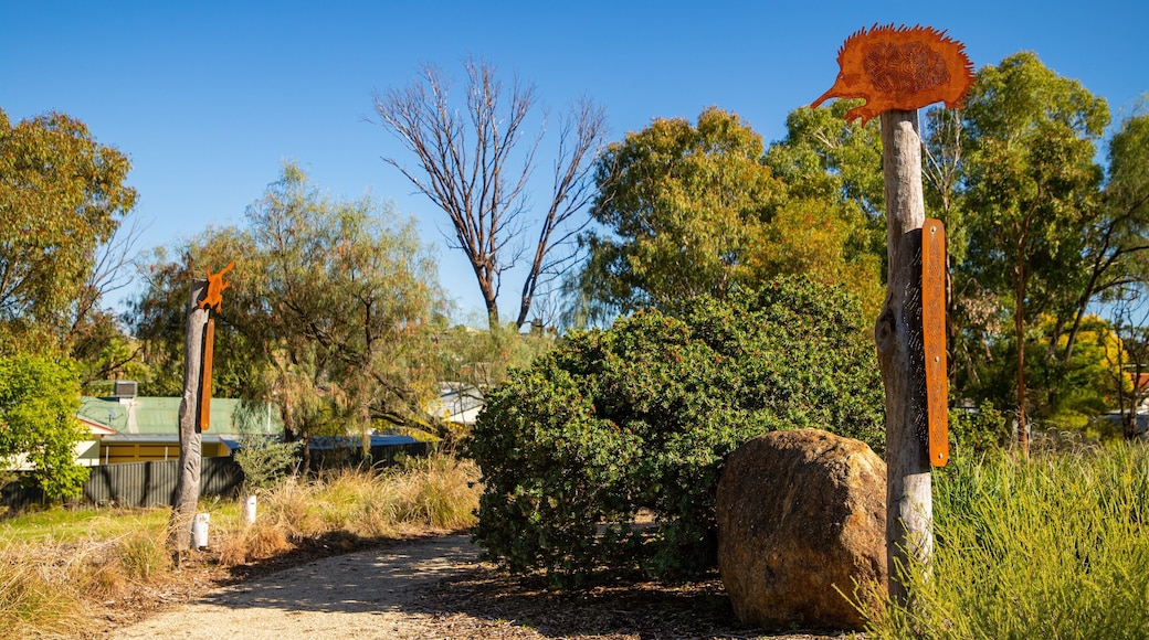 Bushmans Hill Reserve showing a garden