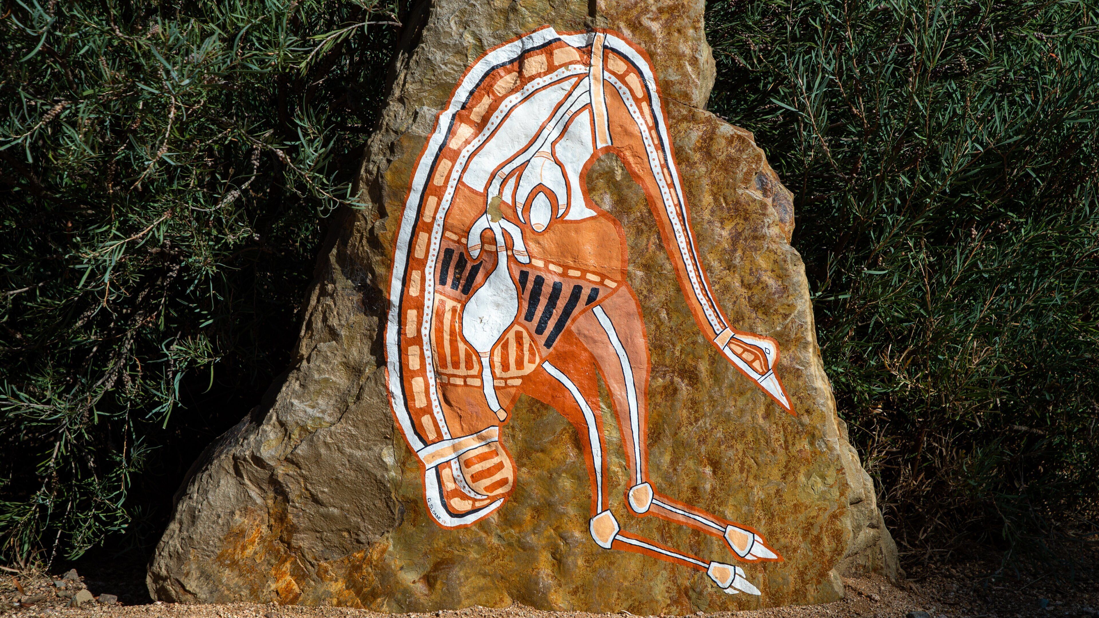 Ein Felsen mit einer Malerei, die eine sich bewegende Figur zeigt, umgeben von Grünpflanzen.