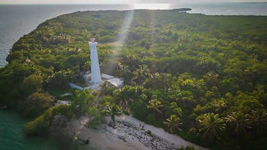 Un phare entouré d’une végétation tropicale luxuriante et d’une plage.