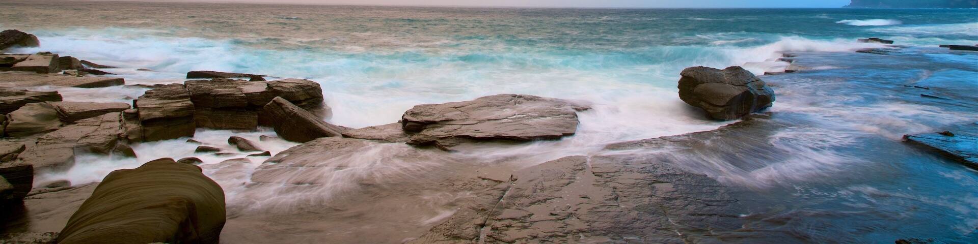 Australian Reptile Park mettant en vedette côte escarpée, coucher de soleil et baie ou port