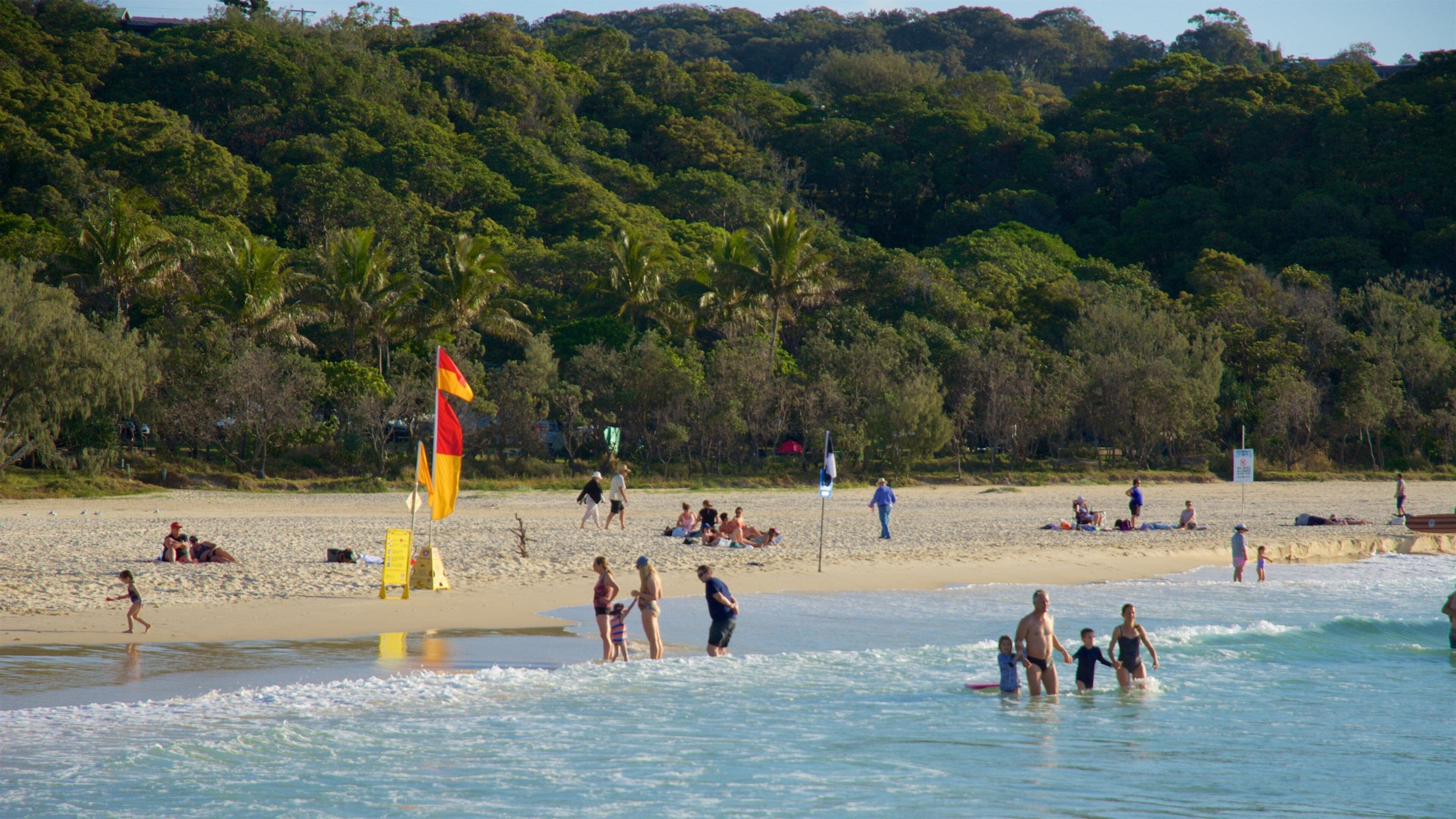 A beach with people swimming and relaxing, palm trees, and a lifeguard flag.