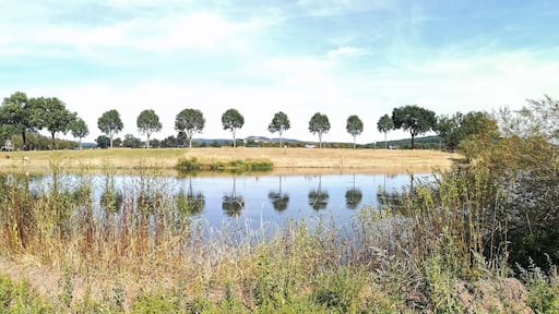 Unterwegs an der Weser zwischen Polle und Bodenwerder