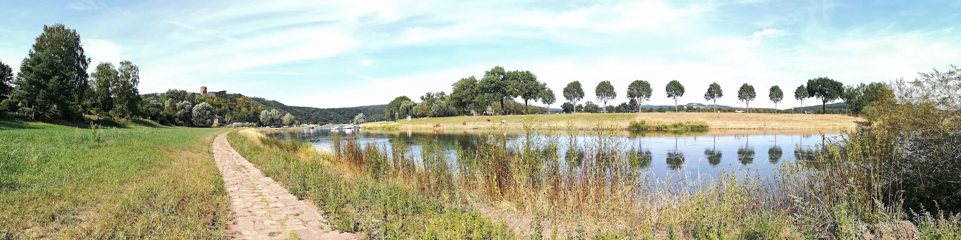 A river with a stone path, green fields, and trees in the background.