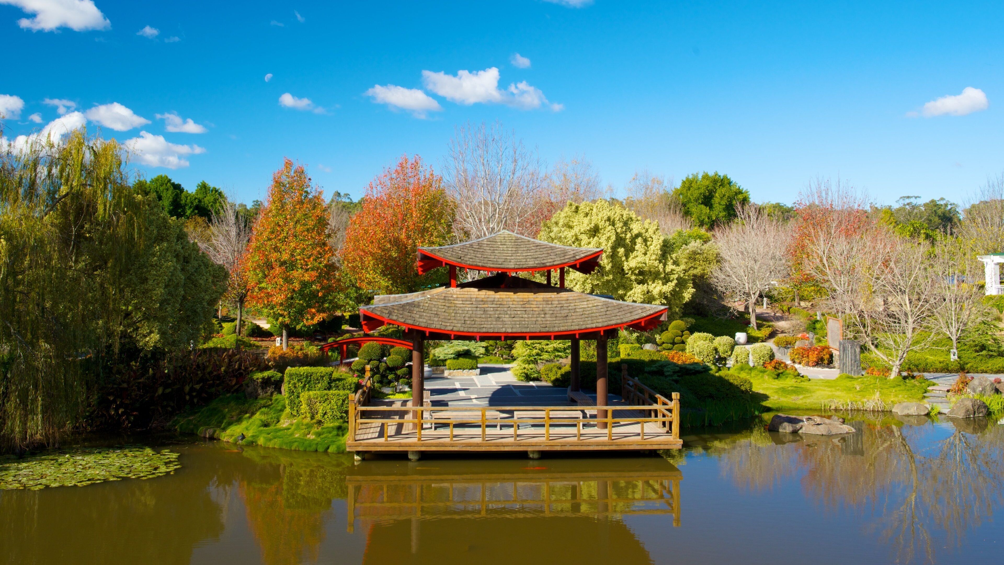 Hunter Valley Gardens featuring a park, autumn leaves and a pond