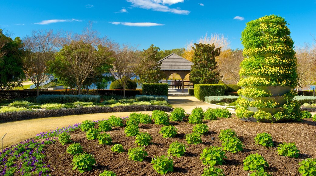 Hunter Valley Gardens toont een tuin