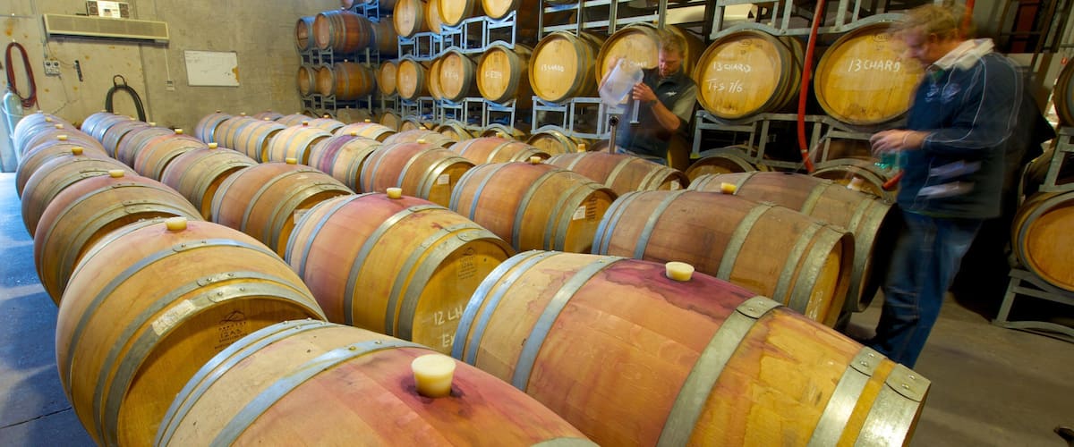 Saddlers Creek Wines showing interior views