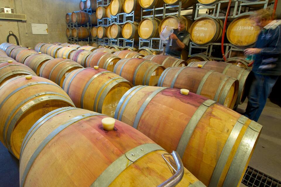 Rows of wooden wine barrels in a storage area.