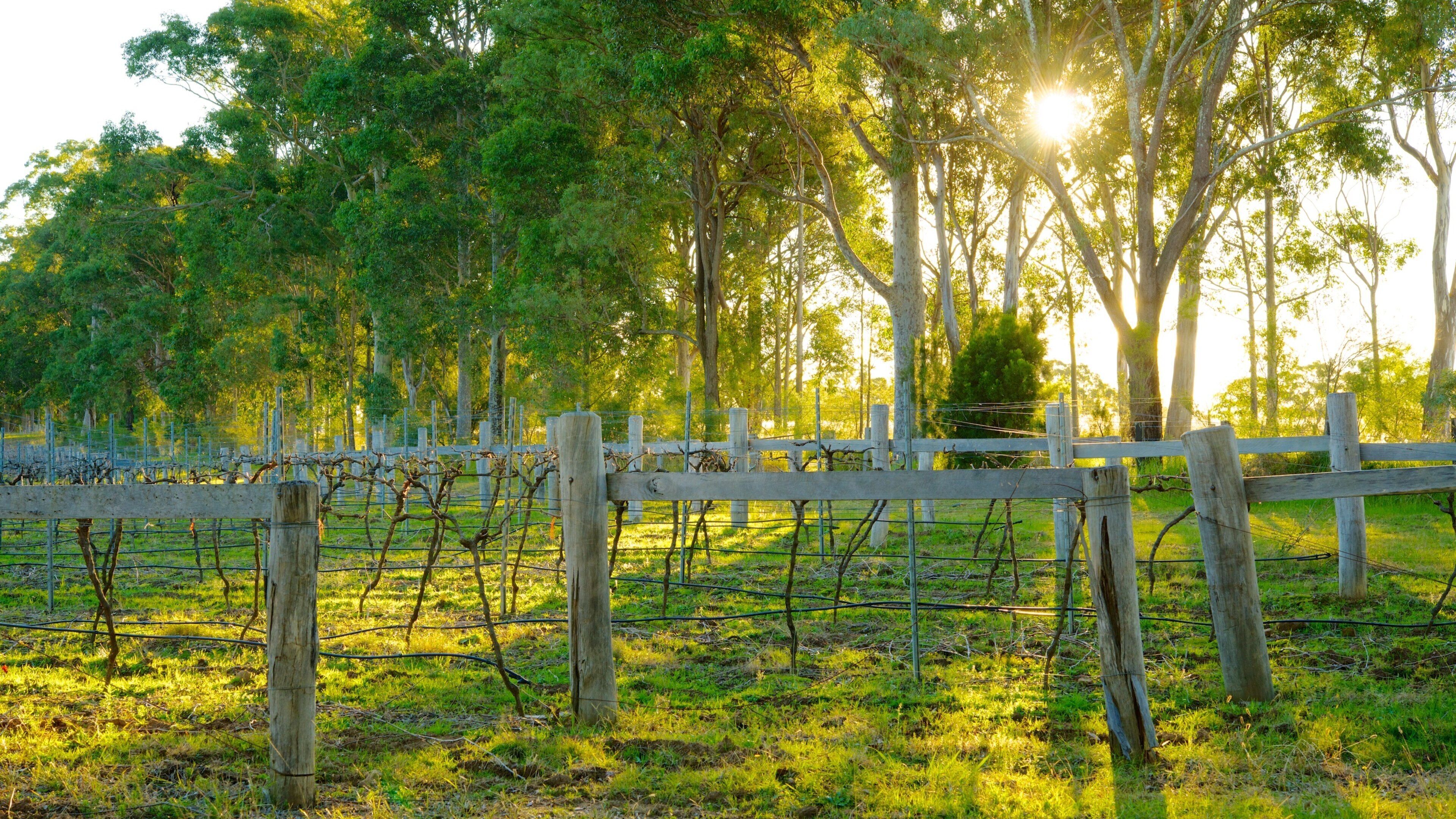 Saddlers Creek Wines which includes farmland and a park