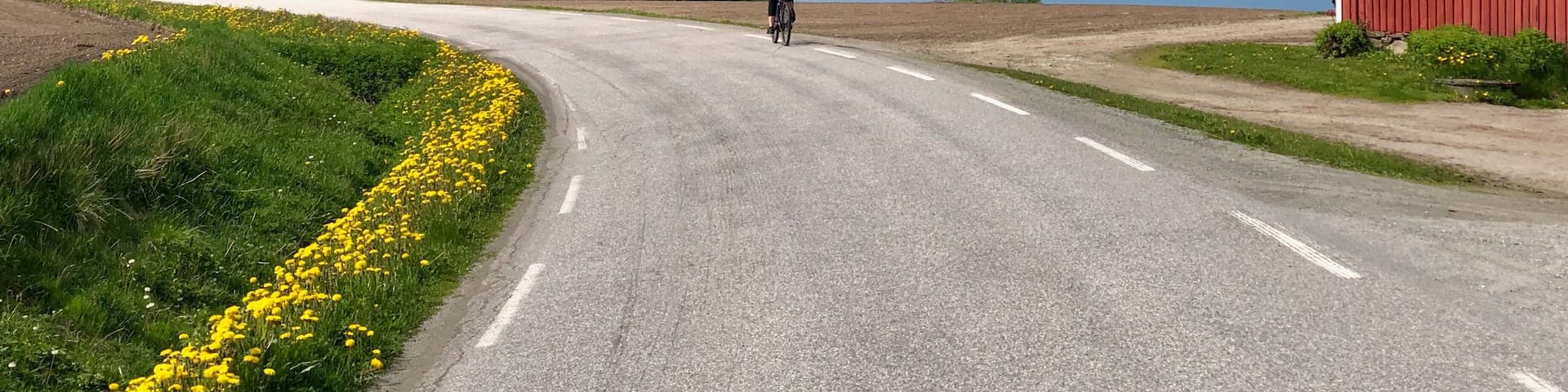 Woman biking on Inderøy in Norway, part of the "Golden Detour" Route