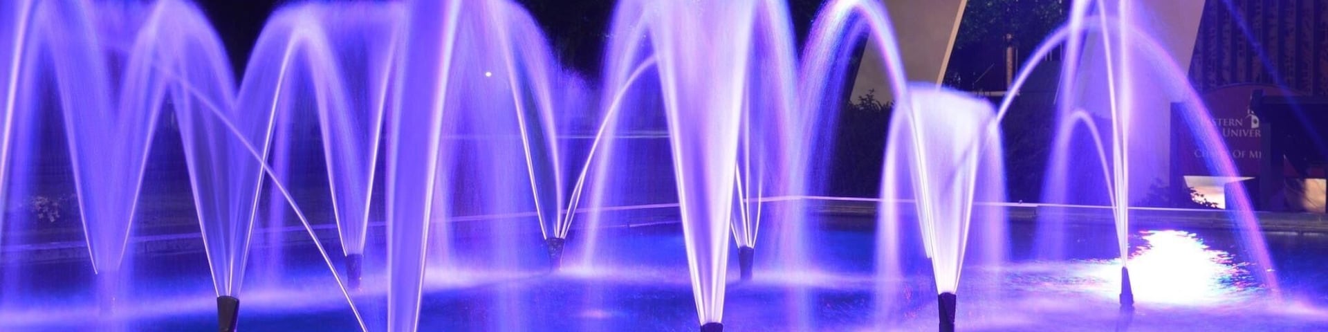 The fountain